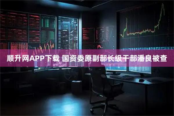 顺升网APP下载 国资委原副部长级干部潘良被查