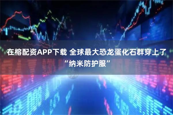 在榕配资APP下载 全球最大恐龙蛋化石群穿上了“纳米防护服”